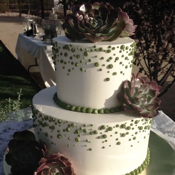 Two-tier white cake with green polka dots and succulent decorations, set outdoors on a table.