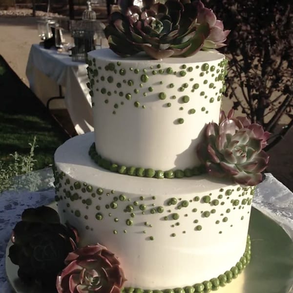 A two-tiered white cake with green polka dots and succulent decorations, set outdoors.